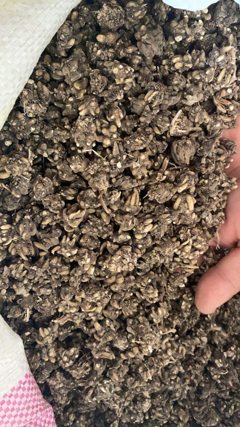 大量供应