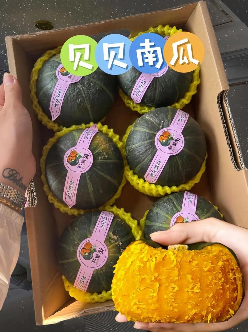 南瓜贝贝南瓜支持一件代发和电商货产地直供一手货源