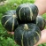 南瓜贝贝南瓜支持一件代发和电商货产地直供一手货源