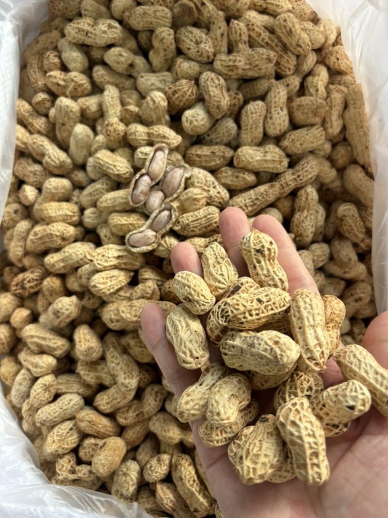 农家水煮咸干花生河源本地花生