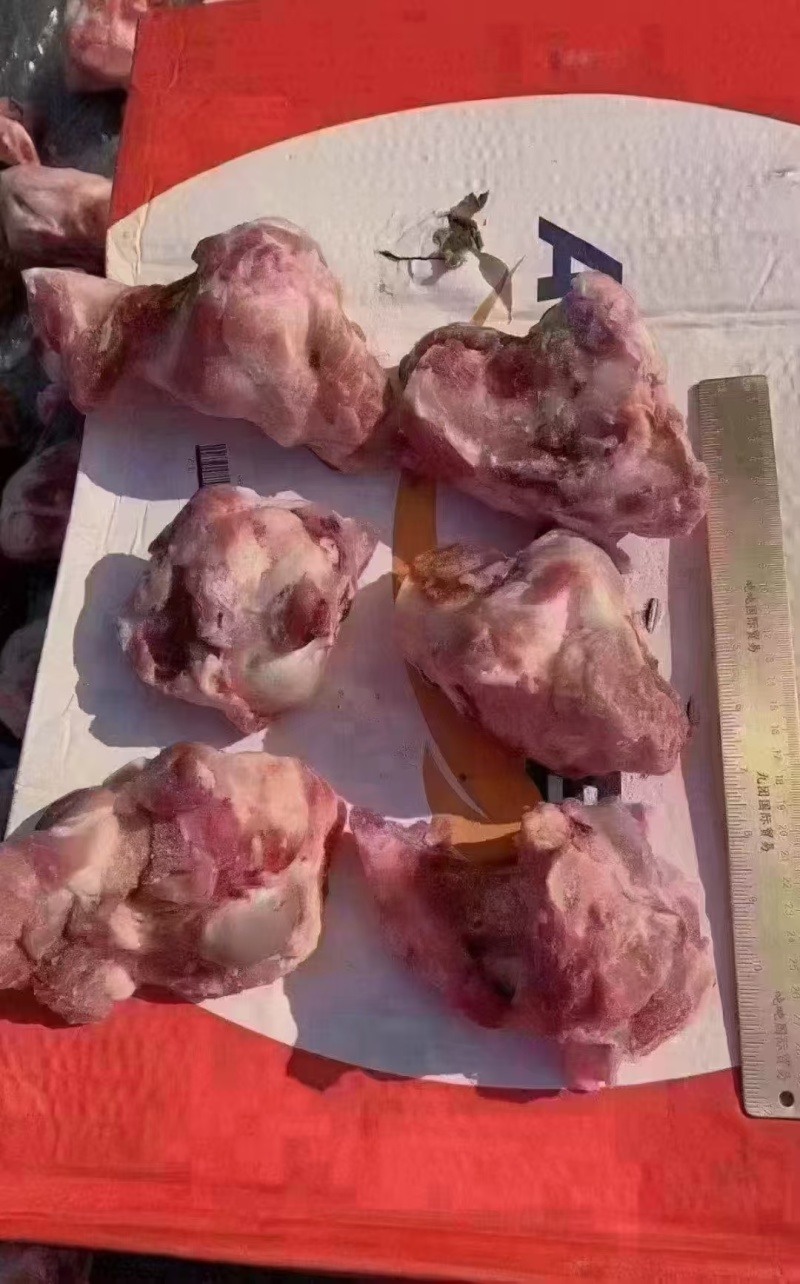大头棒骨