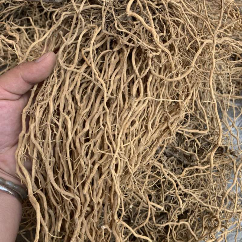 牛尾菜牛尾蕨牛尾结牛尾草老龙须土春根大通根老君须老鼠尾