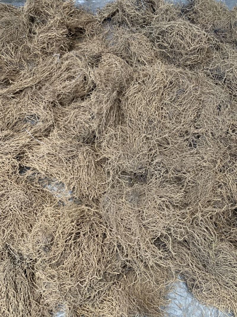 牛尾菜牛尾蕨牛尾结牛尾草老龙须土春根大通根老君须老鼠尾