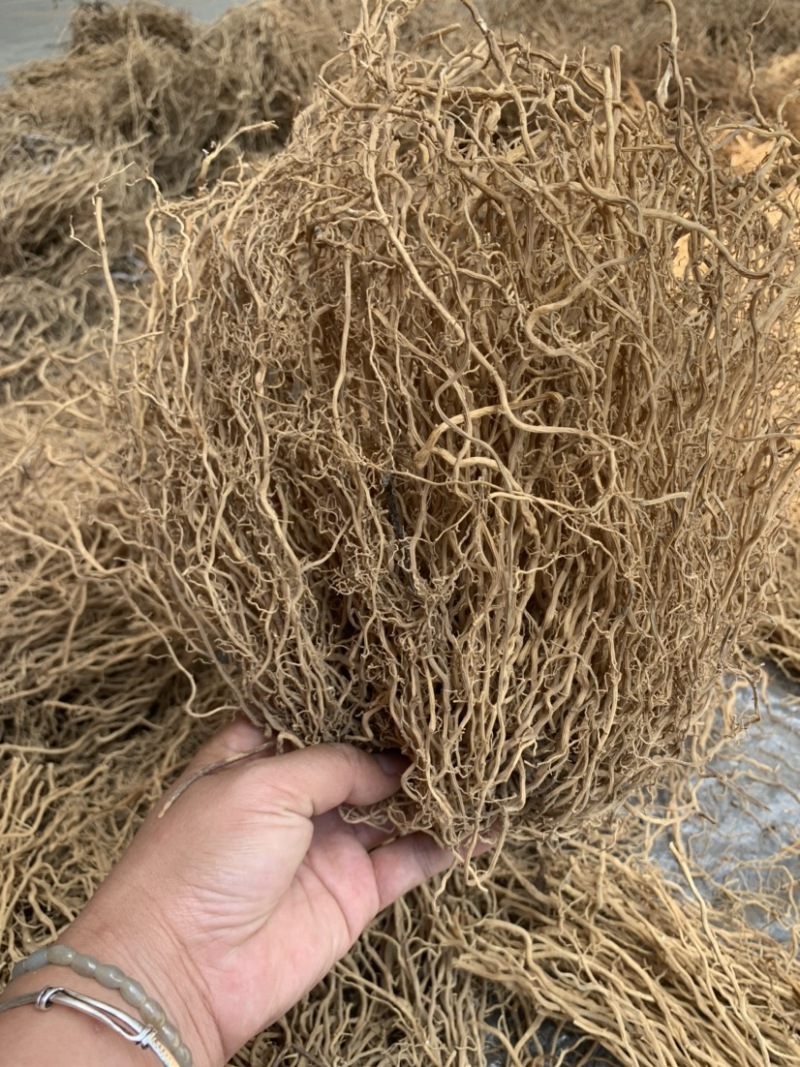 牛尾菜牛尾蕨牛尾结牛尾草老龙须土春根大通根老君须老鼠尾
