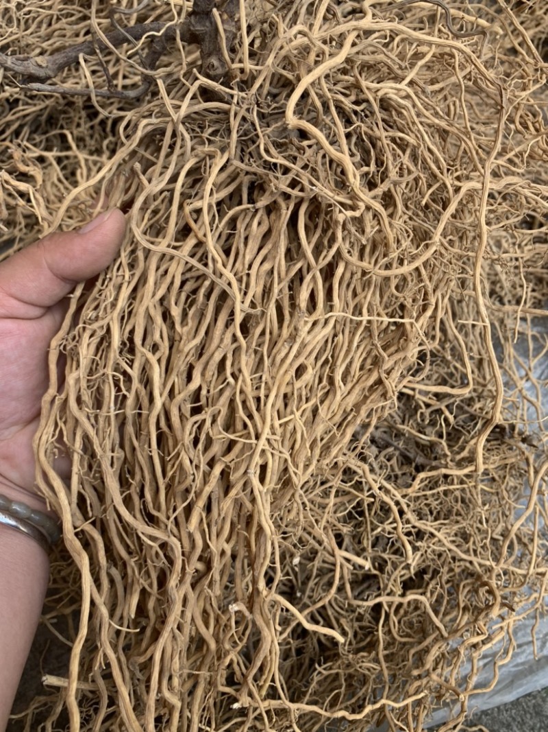牛尾菜牛尾蕨牛尾结牛尾草老龙须土春根大通根老君须老鼠尾
