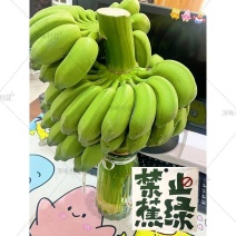 禁止蕉绿小米苹果芭蕉整串香蕉办公室水培5斤新鲜绿植连果插花