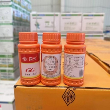 国光40%乙烯利香蕉水稻棉花柿子番茄催熟剂植物