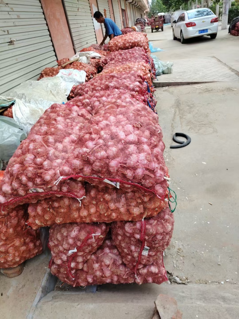 大蒜:蒜黄料、蒜米料、蒜种