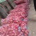 大蒜:蒜黄料、蒜米料、蒜种