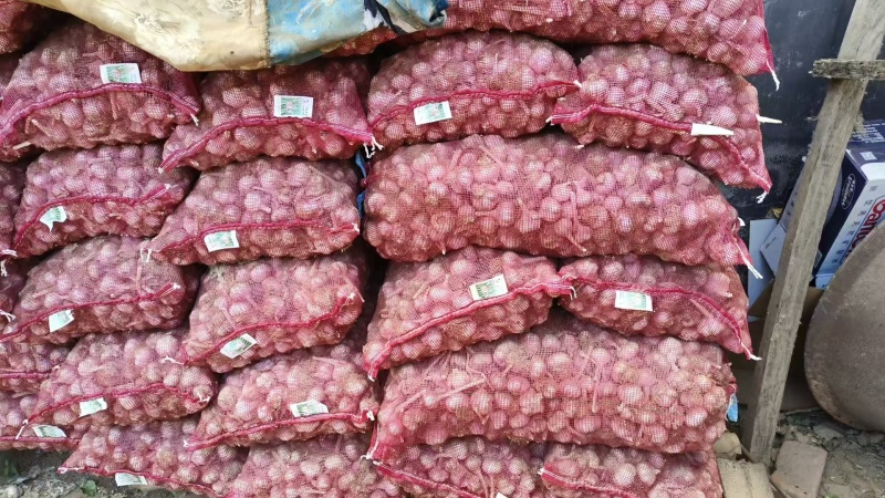 大蒜:蒜黄料、蒜米料、蒜种