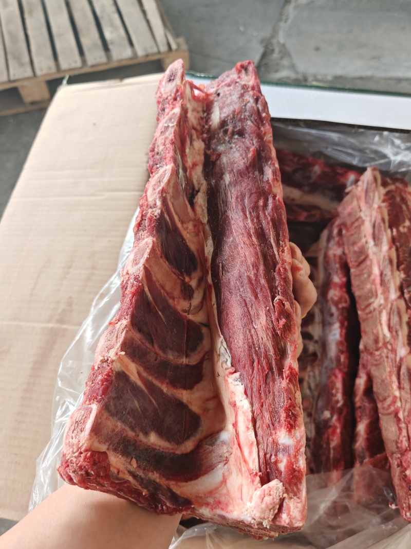 满肉肩胛骨