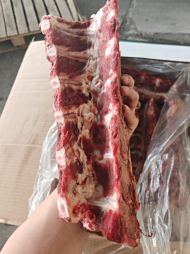 满肉肩胛骨