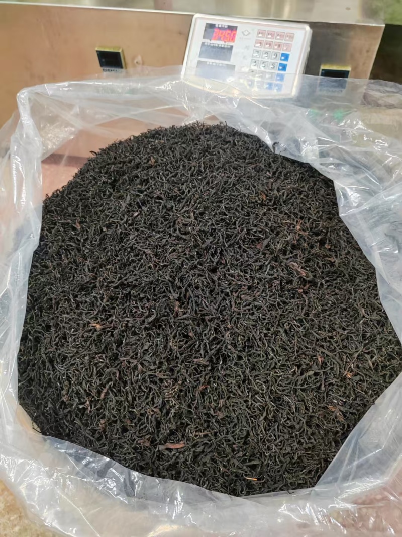 古树红茶一芽一叶一芽二叶