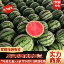 精品麒麟西瓜夏邑美都西瓜货源充足量大从优质量保证