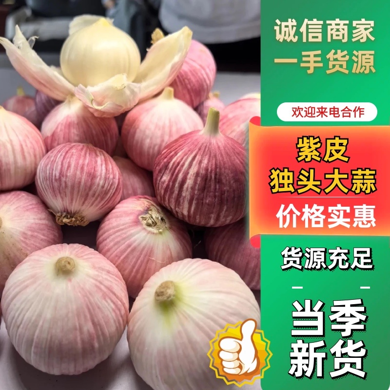 东北紫皮独头大蒜大量有货新鲜品质优可视频看货
