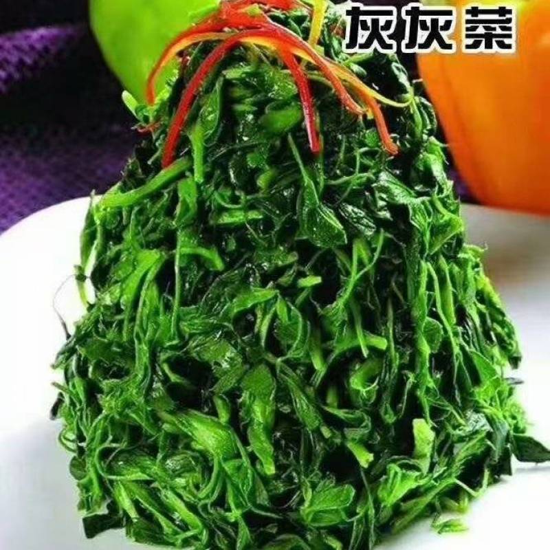 【厂家直供】灰灰菜野生速冻常年供应发全国，保质足量证件