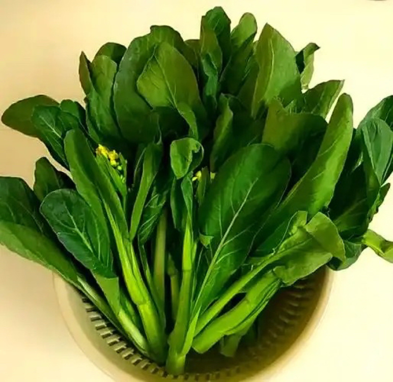 广东菜心量大从优价格可谈欢迎电联