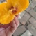 中蟠104毛蟠桃苗，中熟优良品种