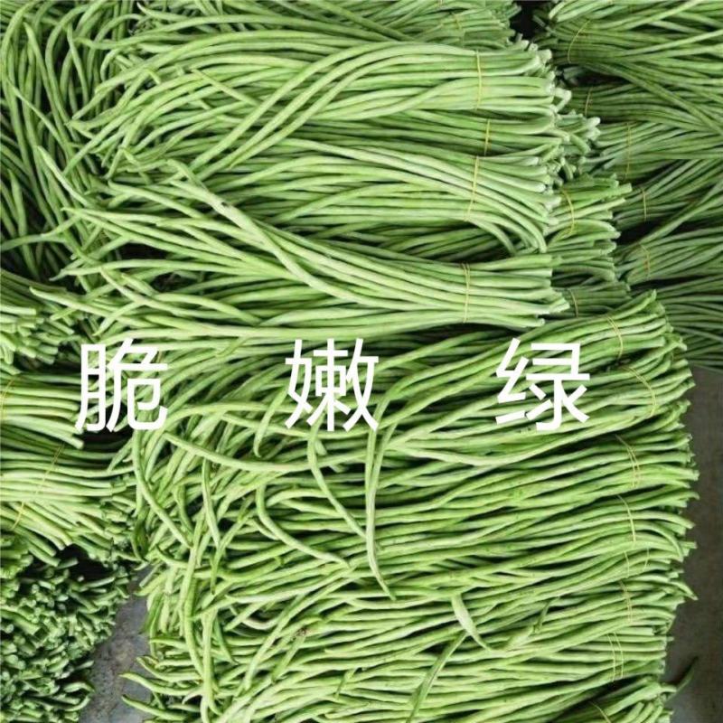 产地批发精品长豆角一手货源品质保证量大从优诚信经