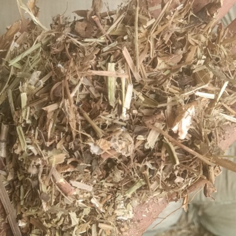 花生秧