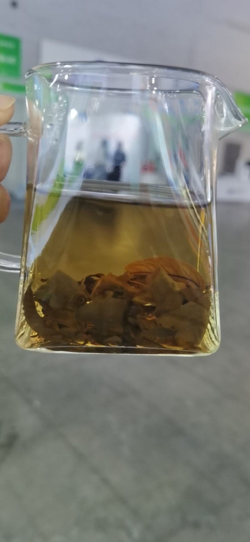 张家界-原产青钱柳茶