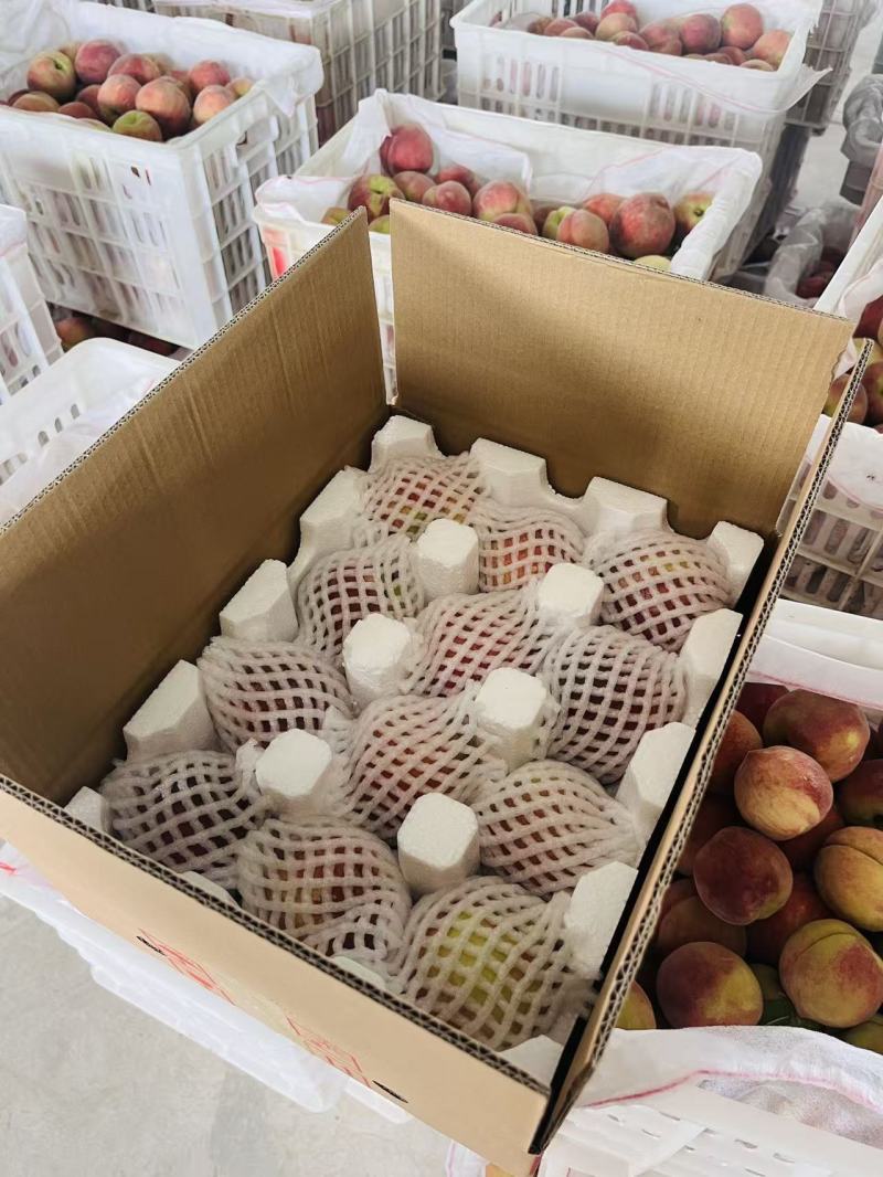 【实力商家】精品毛桃对接电商微商支持一件代发口感脆甜