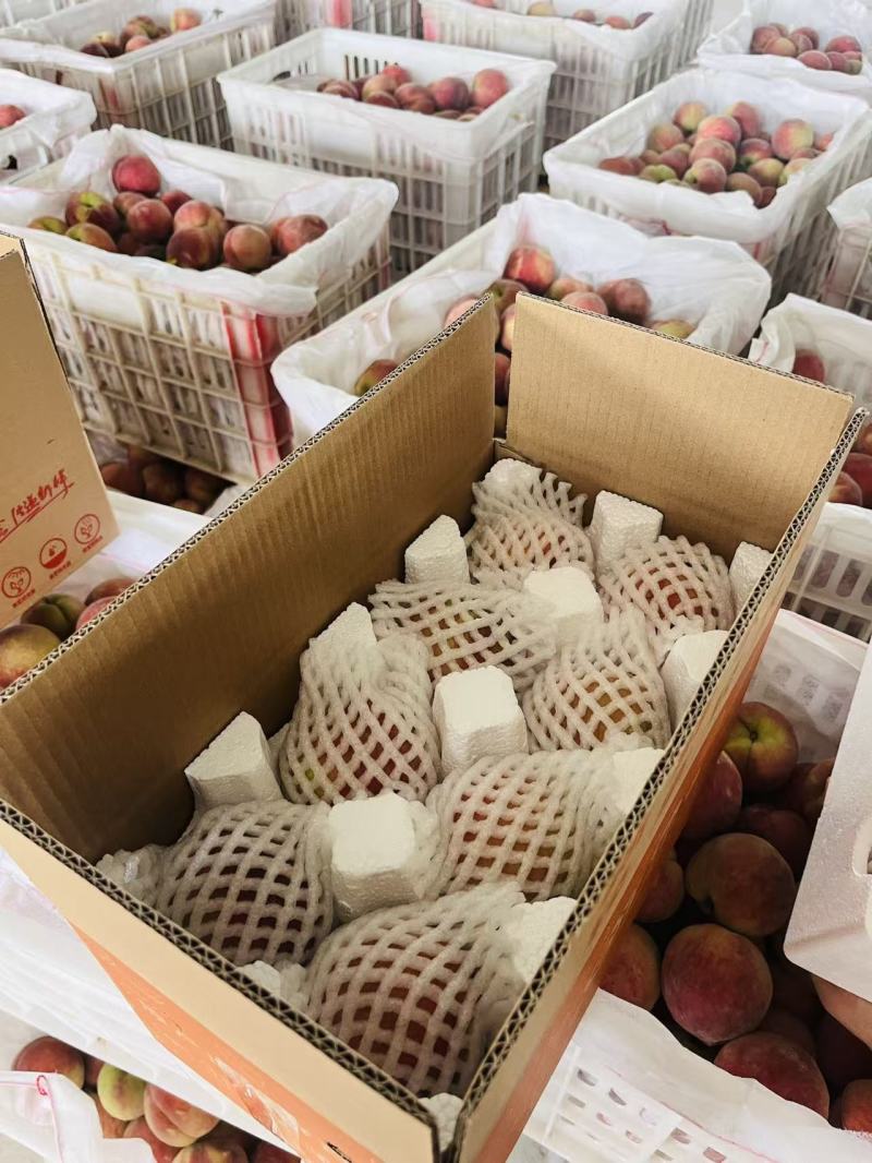 【现摘现发】精品水蜜桃甜度高水分足对接商超电商