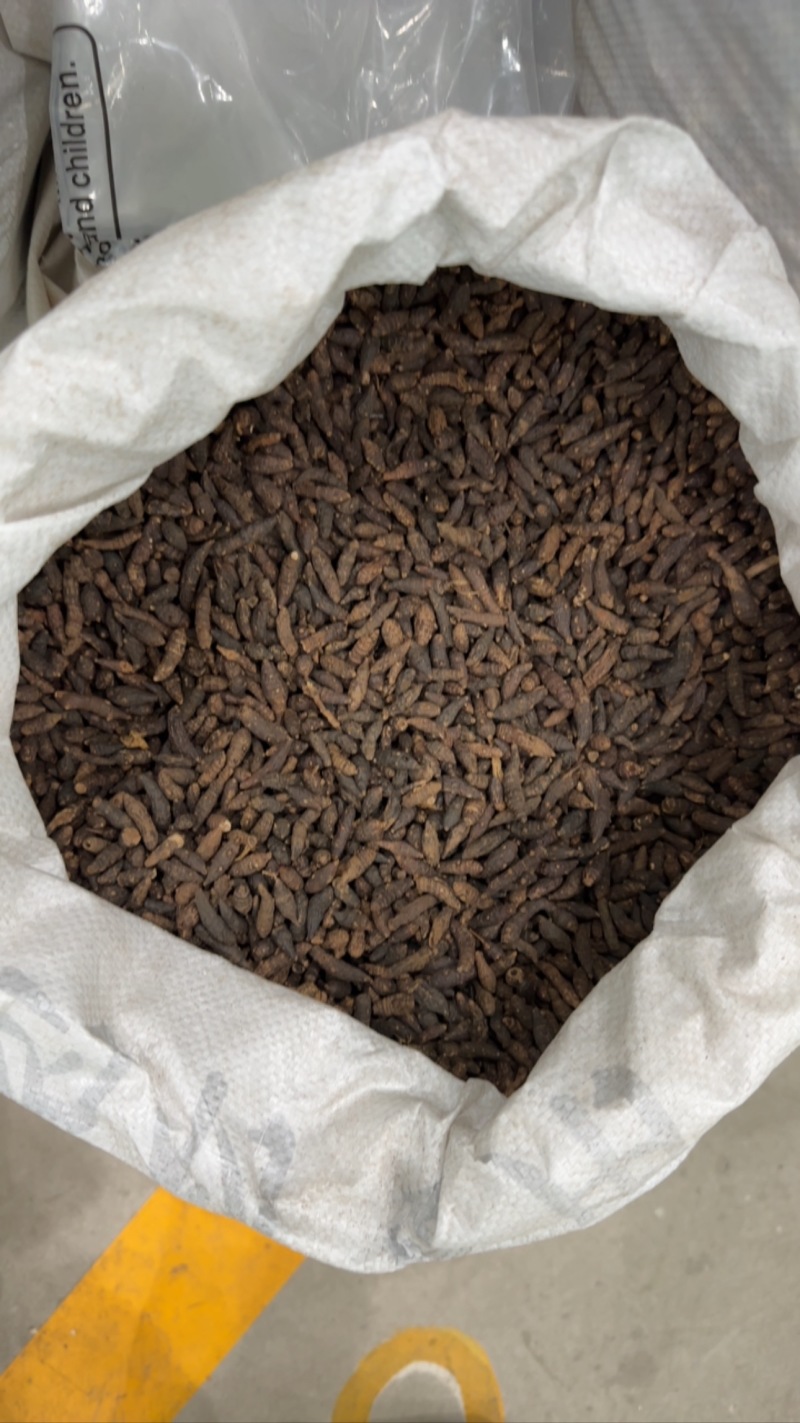 【香附】正品香附颜色好无霉纯干货保质保量