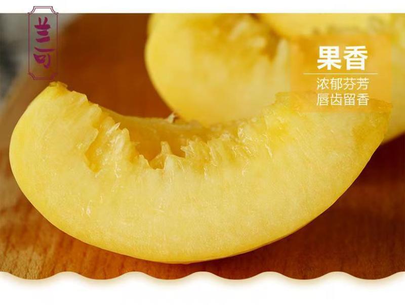 山东黄油桃脆甜爽口、产地直发【对接全平台电商】