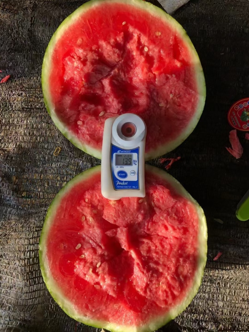 产地河北固安精品麒麟西瓜大量上市，瓜型正，甜度高，口感好