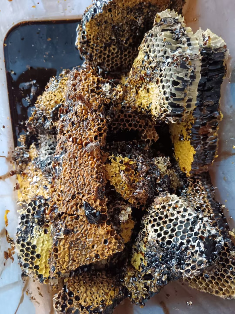 云南沧源野生蜂蜜，场地直发，品质保证，量大从优