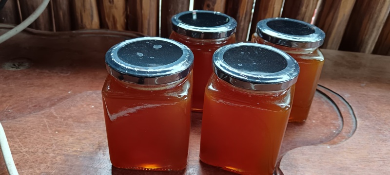 云南沧源野生蜂蜜，场地直发，品质保证，量大从优