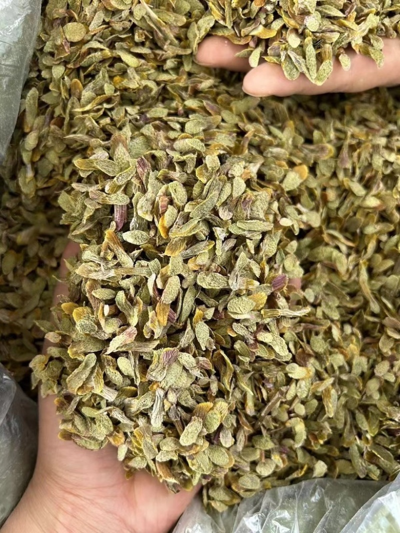 铁皮石斛片（泡水发紫）