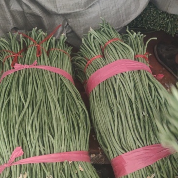 精品长豆角，豇豆大量上市中，