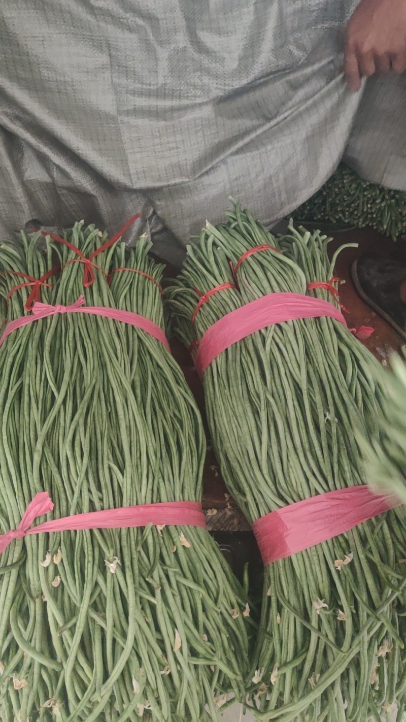 精品长豆角，豇豆大量上市中，