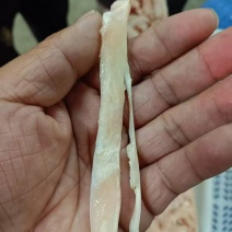 肥猪蹄筋，单根长度7公分左右，纯干新货，低价处理，