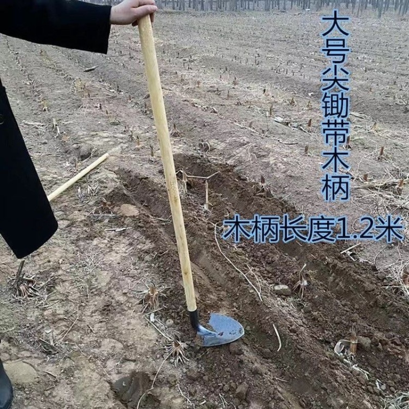 锰钢淬火尖锄头尖镐开沟起垄农用锄头加厚种菜施肥培土