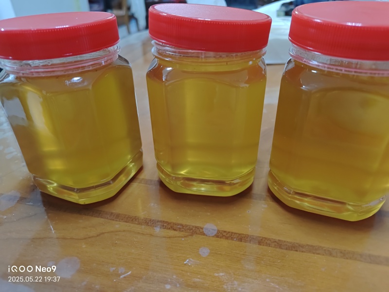 精品荔枝蜜大量供货品质保证欢迎下单品尝品质保证