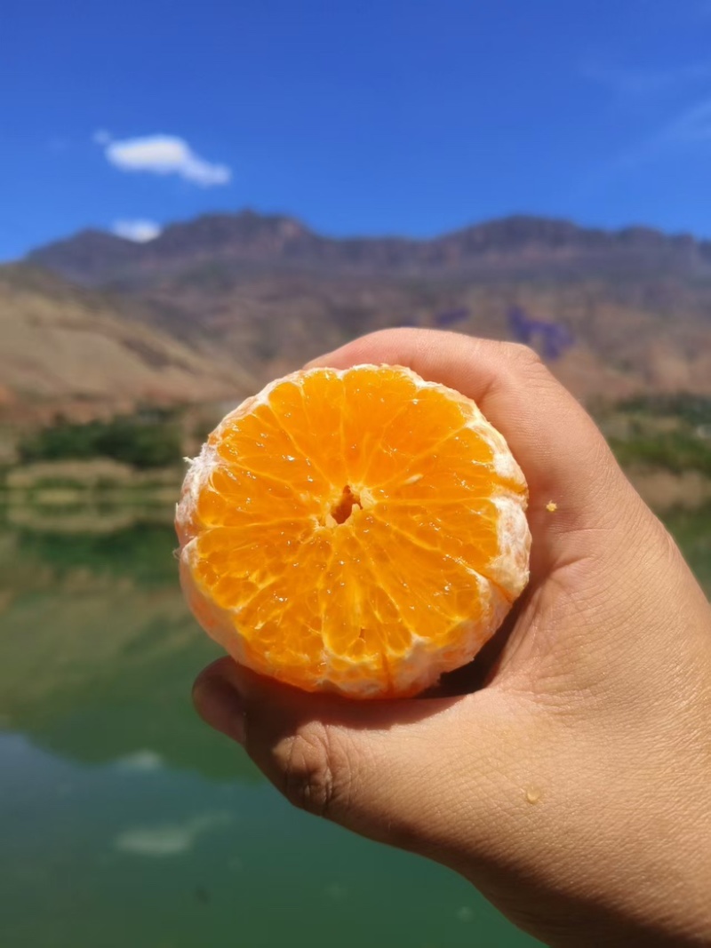 云南山地沃柑，产地供应，货源充足，保质保量，
