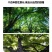 云南凤庆核润野生古树有机山核桃油孕妇儿童学生大量用脑人群