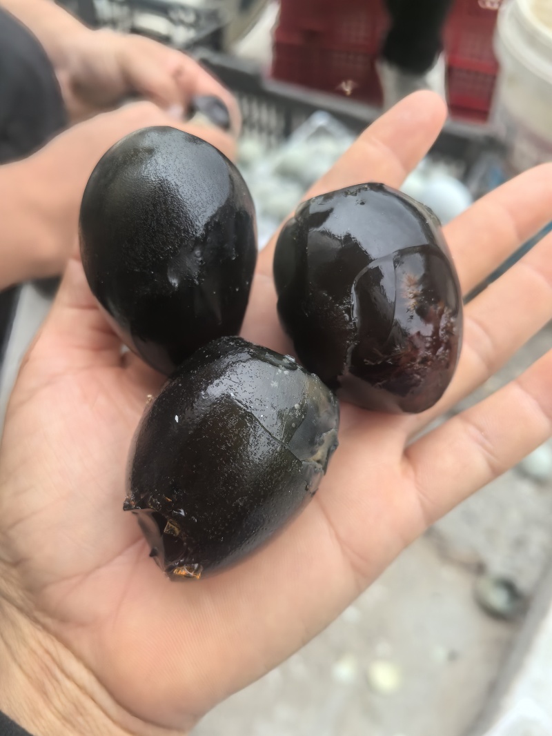 精品松花蛋量大从优质量保证常年有货欢迎咨询