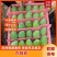 广东精品台芒，产地直发，品质保证，对接全国