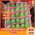 广东精品台芒，产地直发，品质保证，对接全国