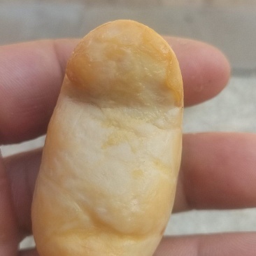 鹅宝