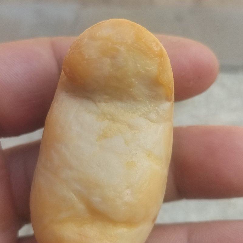鹅宝