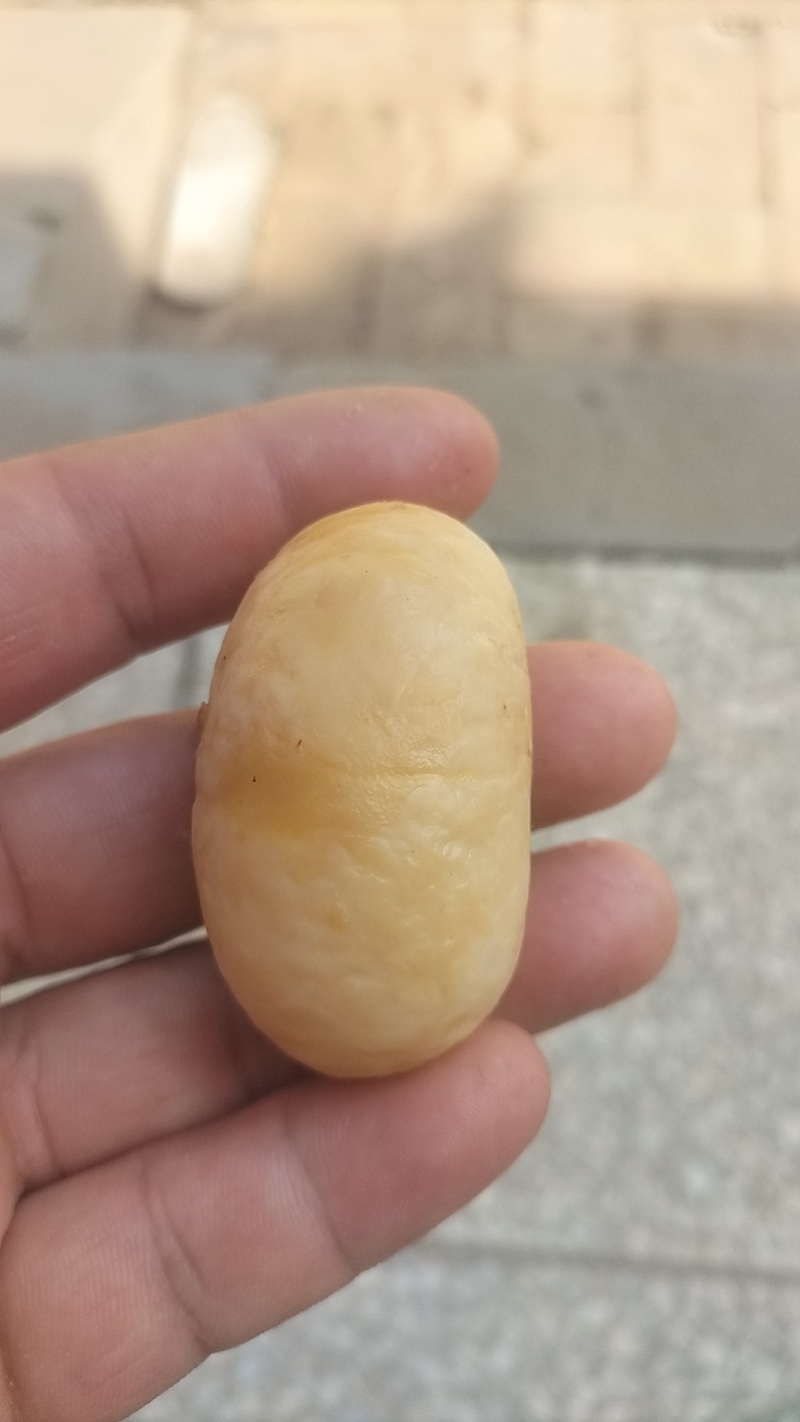 鹅宝