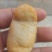 鹅宝