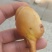 鹅宝