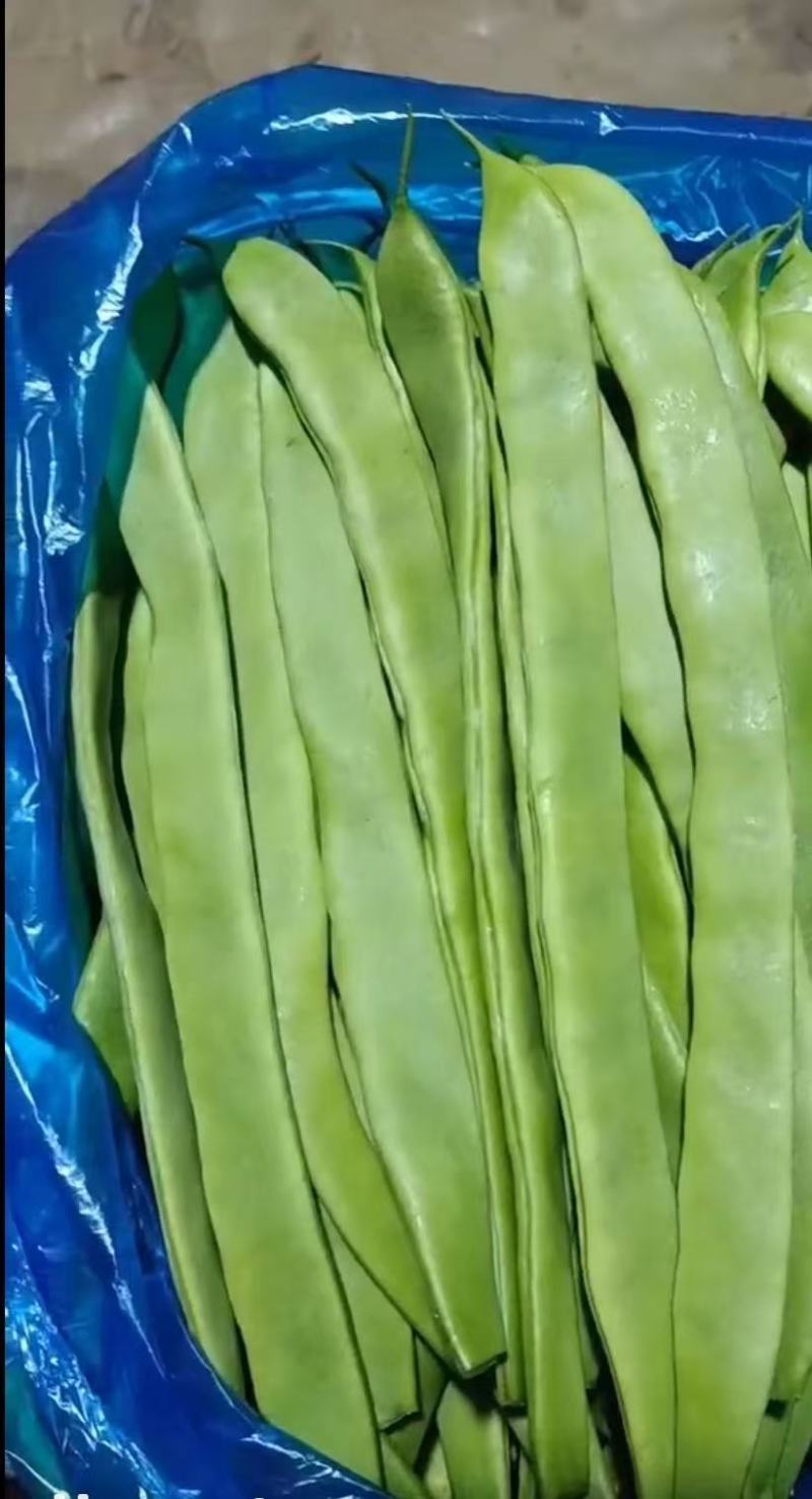 芸豆