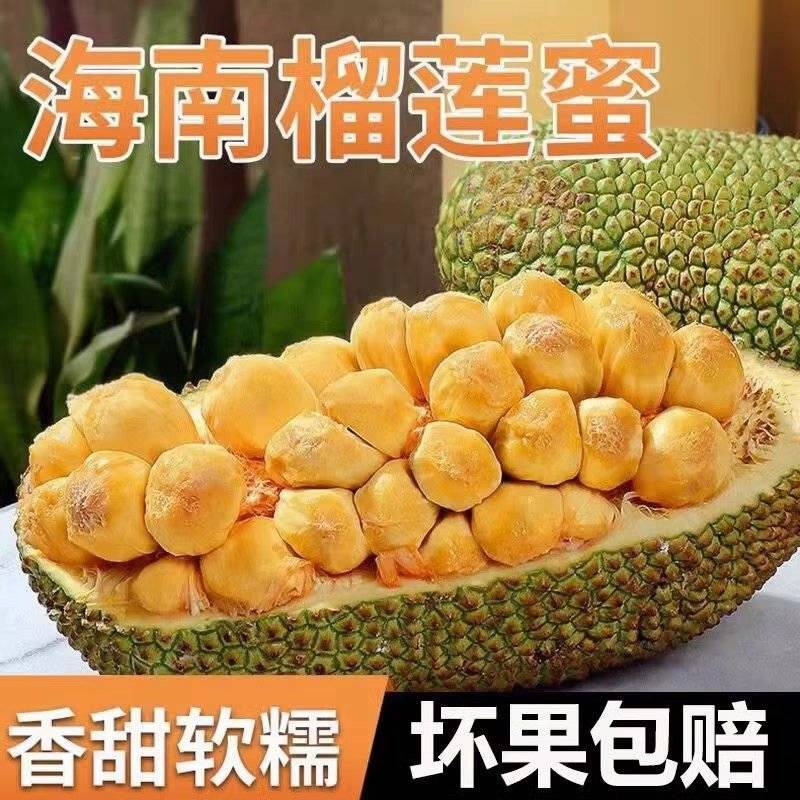 海南榴莲蜜批发，全国发货